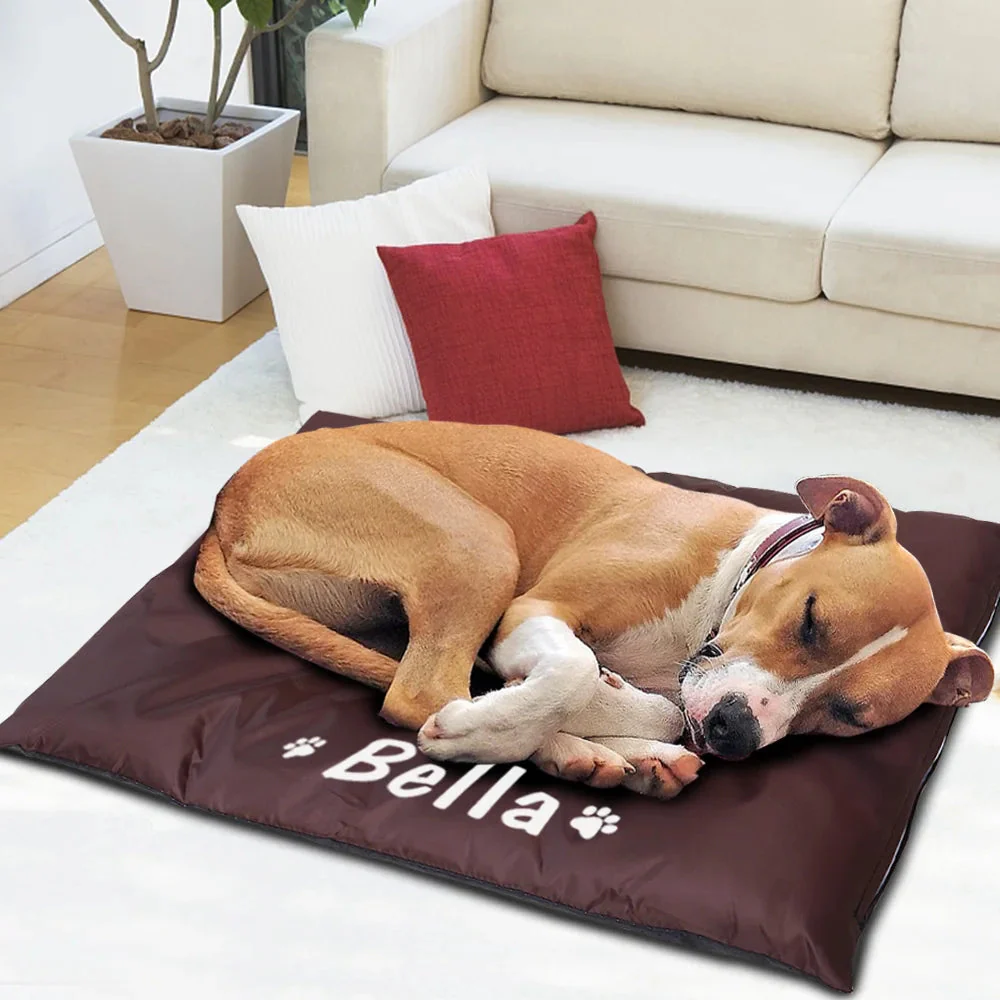Coussin pour Chien Personnalisé – Image 3